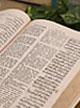 Publications Unity of Man